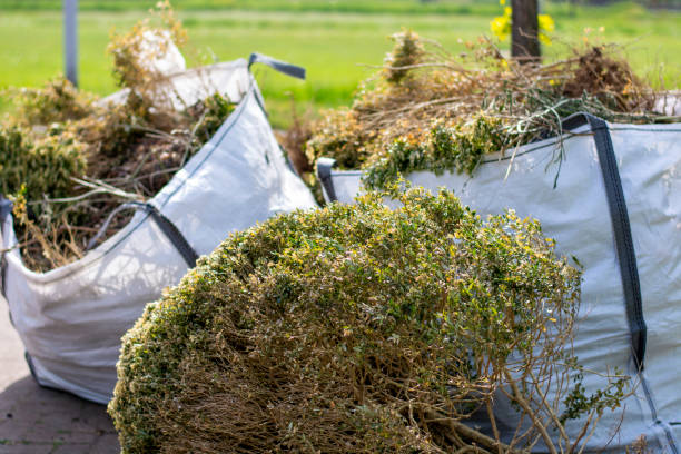 Best Mattress Removal Service  in Des Allemands, LA